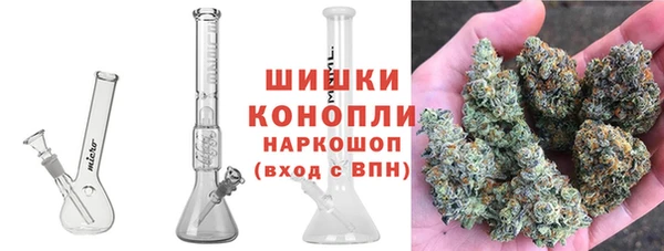 ПСИЛОЦИБИНОВЫЕ ГРИБЫ Ступино