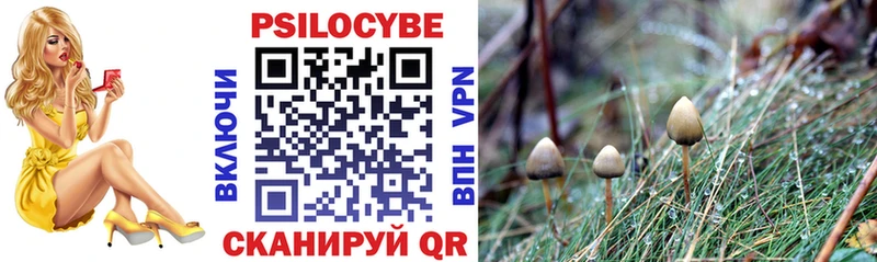 Купить где  Чебаркуль  Псилоцибиновые грибы мухоморы 